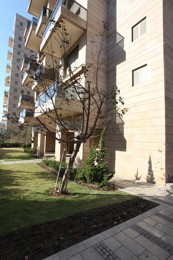 Aviv gimel_5